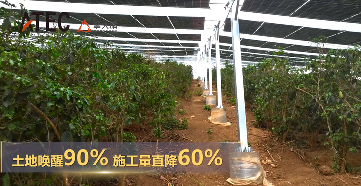 撒永山光伏傳奇：《人民日報》頭條點贊的高原光伏答案——擎天晴索網柔性支架林光系列(圖8)