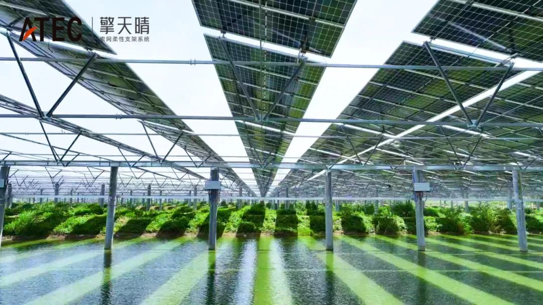 "碳谷小鎮"漁光互補：看柔性支架如何用"天空農場"改寫產業規則(圖8)