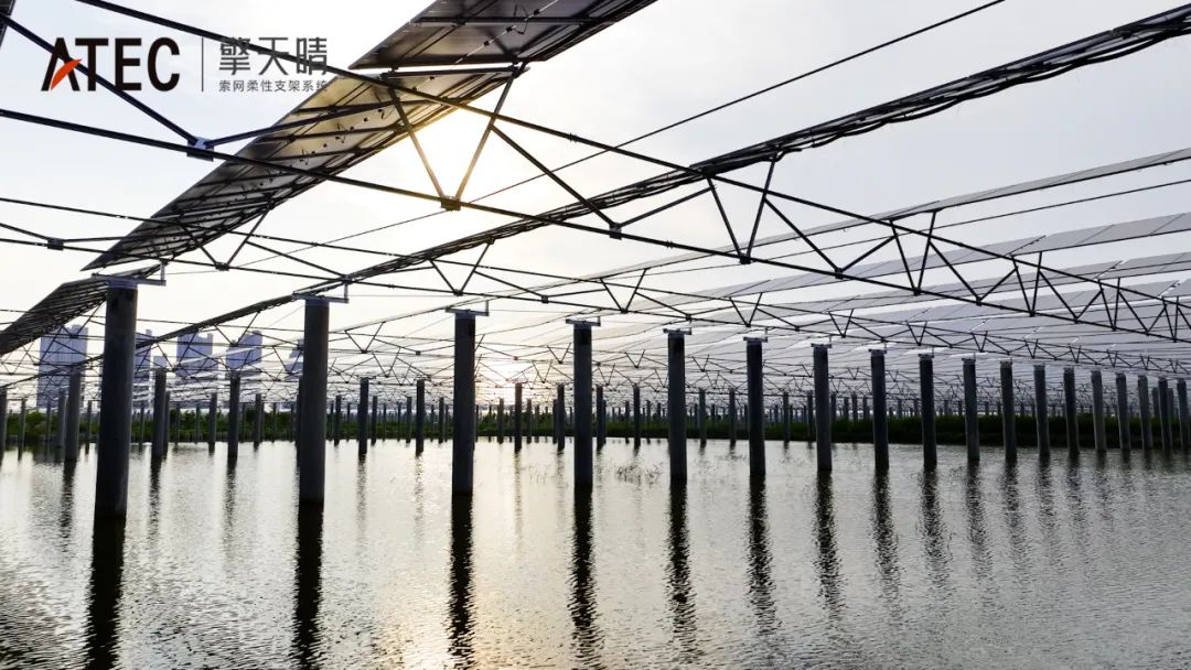 大唐天津寶坻里自沽：171.6MW漁光互補項目，開辟綠色低碳、互惠共贏新路徑(圖21)