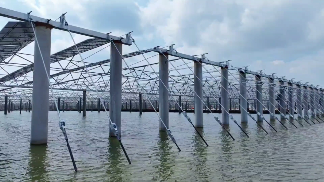 深圳安泰科助力三峽青口鹽場項目,柔性支架引領漁光互補新潮流(圖3) 深圳安泰科助力三峽青口鹽場項目,柔性支架引領漁光互補新潮流(圖3)